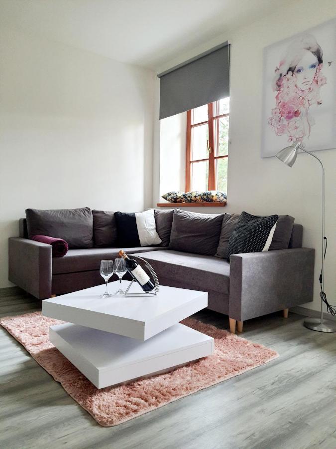 Apartman Spalovka Nový Bor 外观 照片