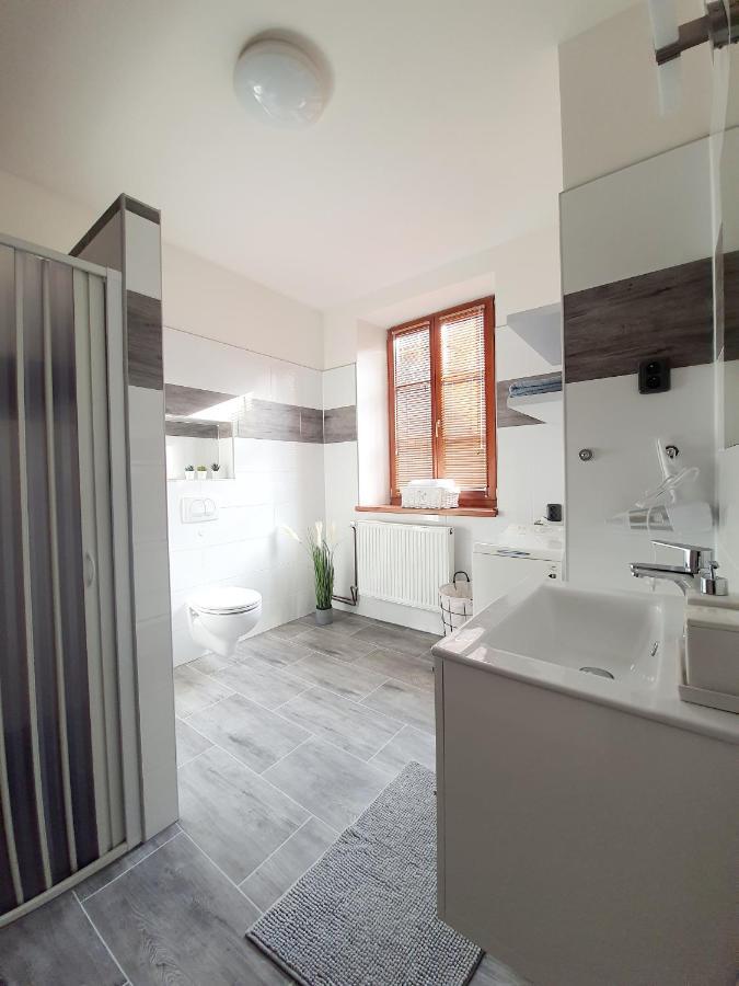 Apartman Spalovka Nový Bor 外观 照片